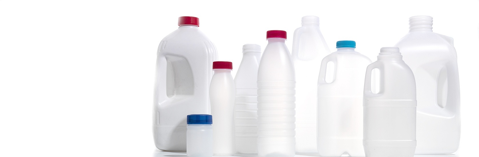 Blomix111114-_0067.jpg Blomix111114-_0067.jpg